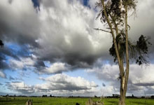 尤文图斯全胜,领跑意甲榜首位置稳固