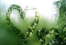 乌克兰力克芬兰，锁定小组第三出线