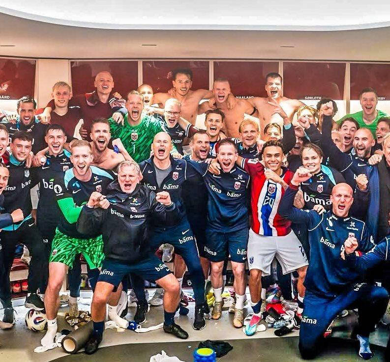 德国队夺冠，欧预赛前景一片大好的简单介绍