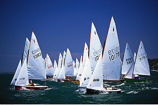 新西兰帆船队轻松晋级下一轮比赛