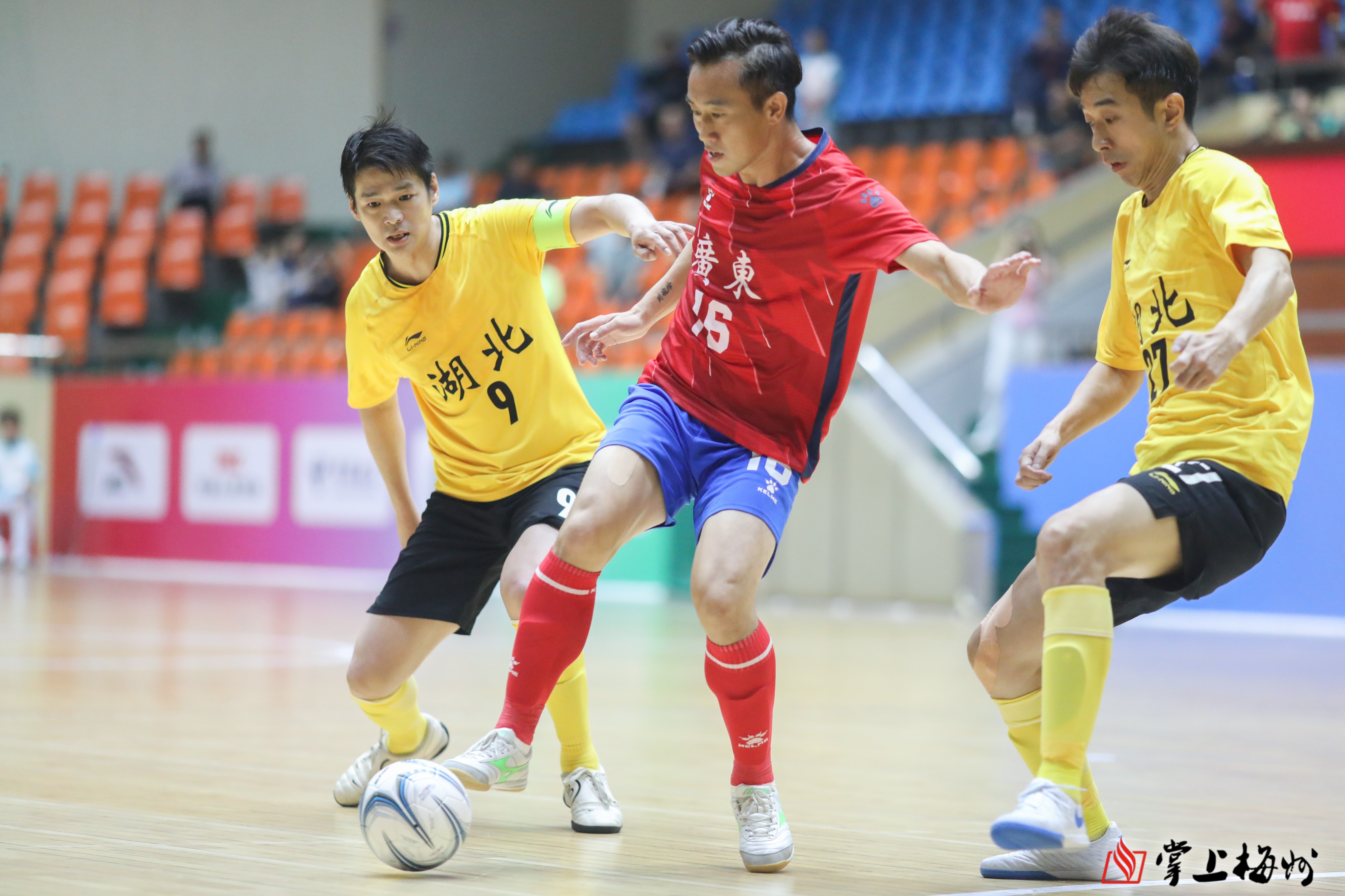 体育赛场巅峰对决！男女足球大赛